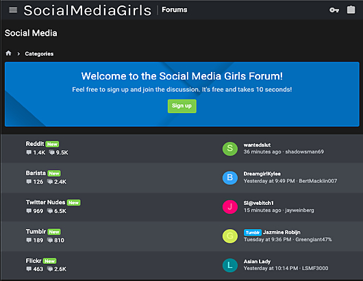 Socialmediagirls Site Review Screenshot