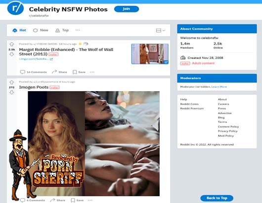 Nude Celebrity Web Site