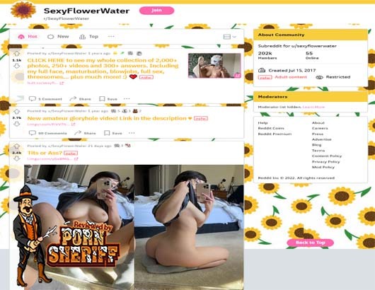 SexyFlowerWater Screenshot for Full Site Review