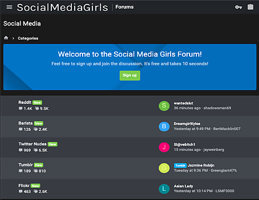 SocialMediaGirls Screenshot for Full Site Review