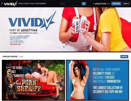 Screenshot of Vivid.Com for Full Site Review