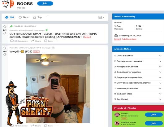 R/boobs Screenshot for Full Site Review